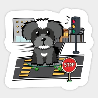 Funny schnauzer is on a skateboard Sticker